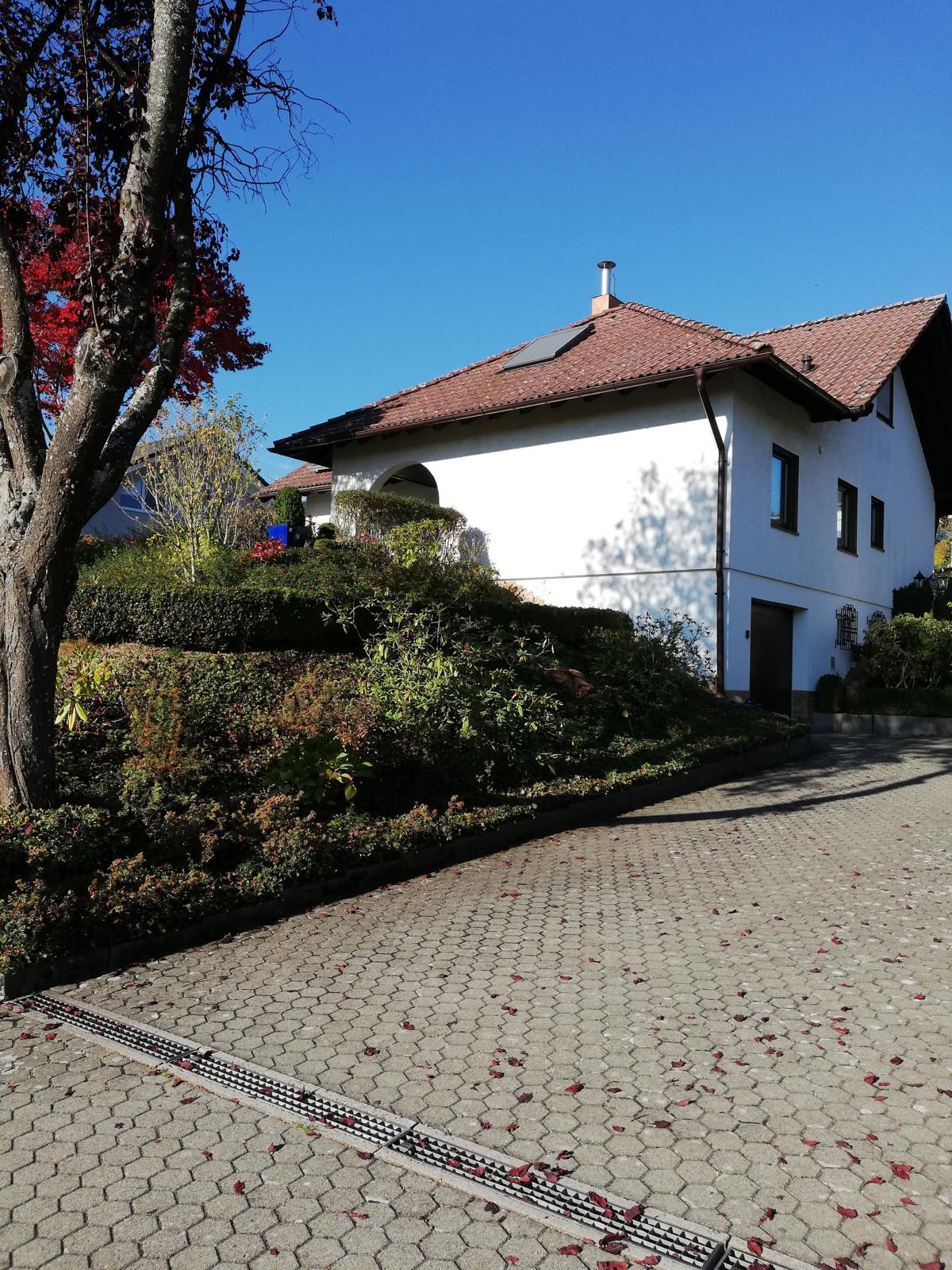 Kaufen Mieten Immobilien Brauer