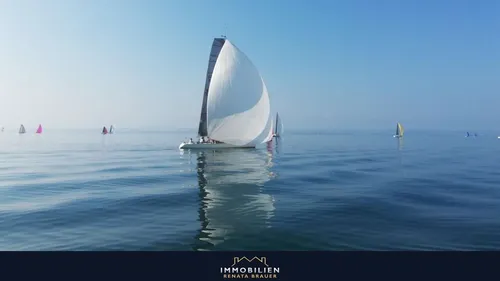 Segeln am Bodensee