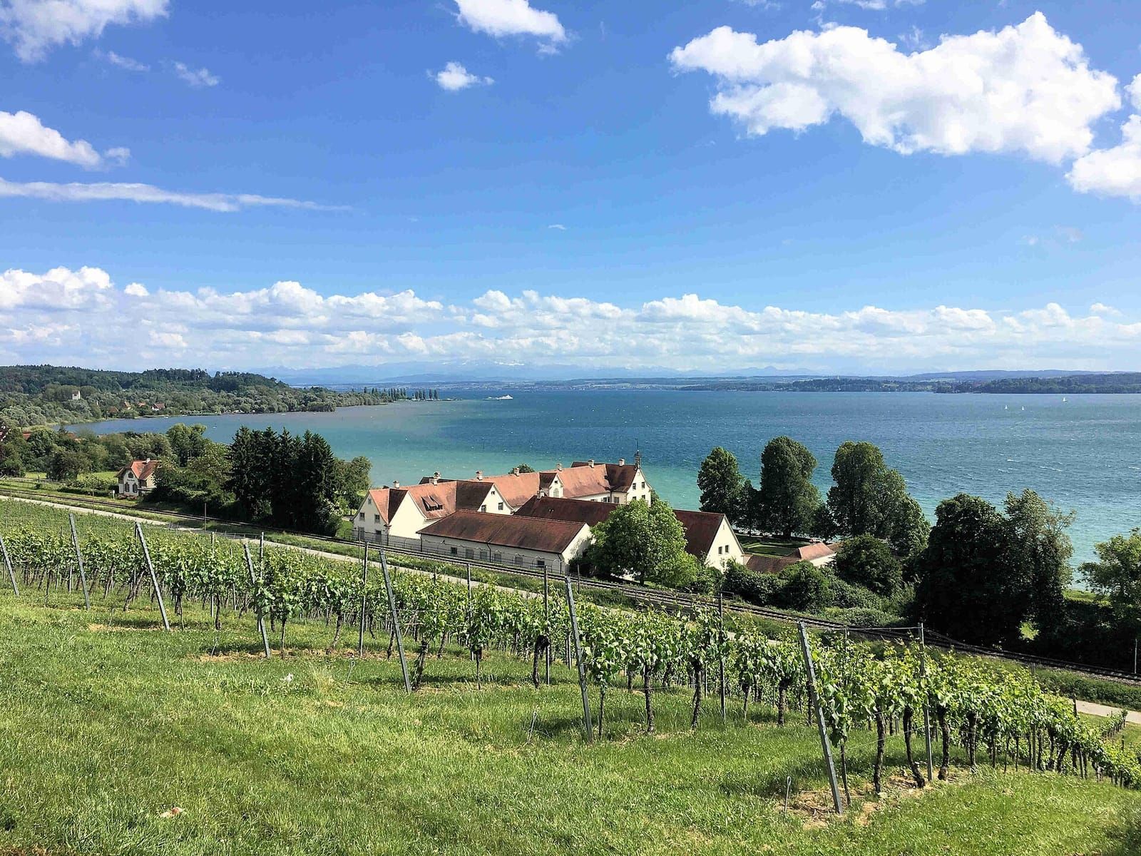 Blick vom Sipplinger Berg auf den Überlinger See