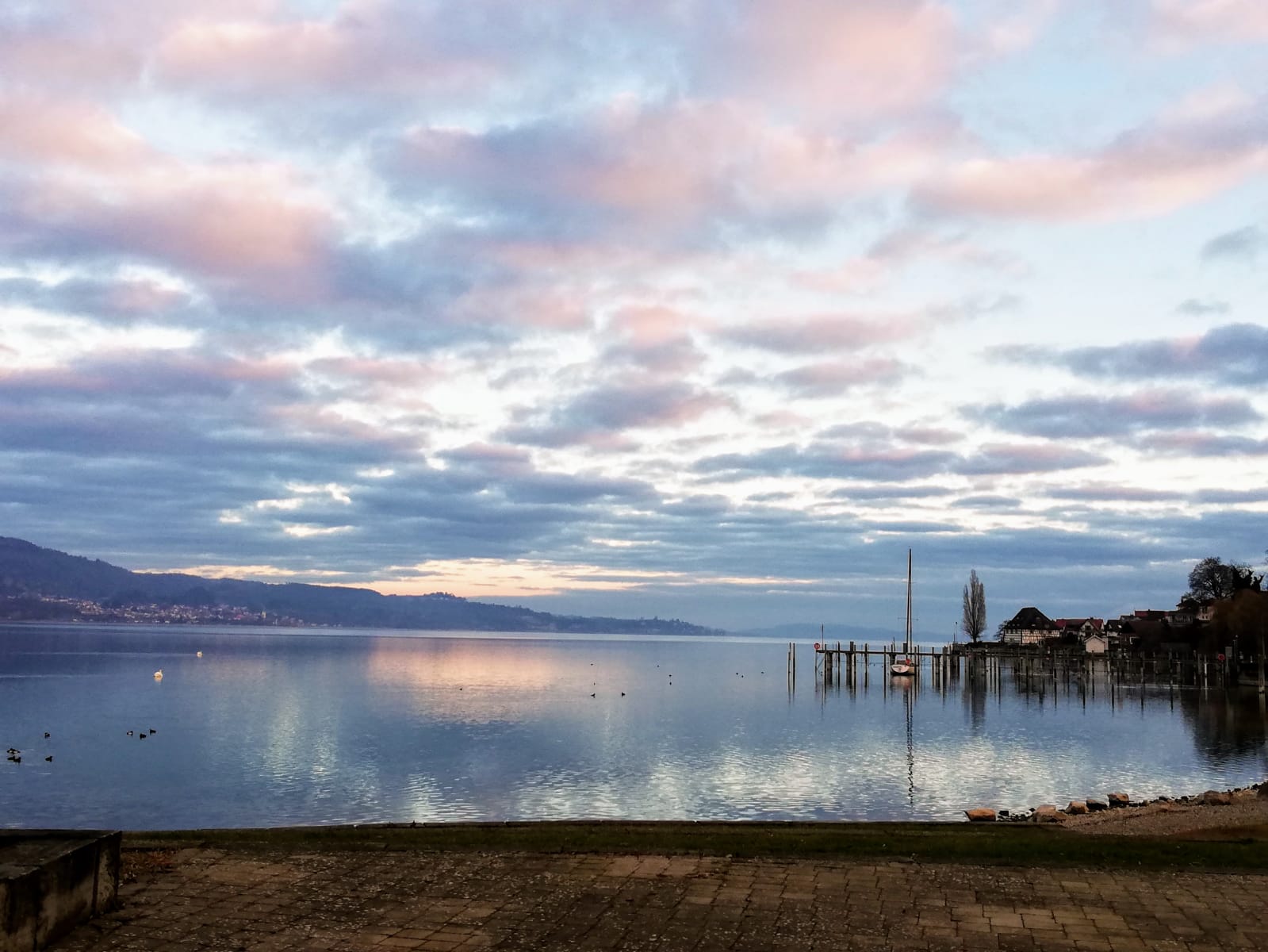 Bodman und Ludwigshafen am Bodensee (4)