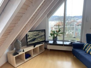 villa-bodman-schlosshalde (4)