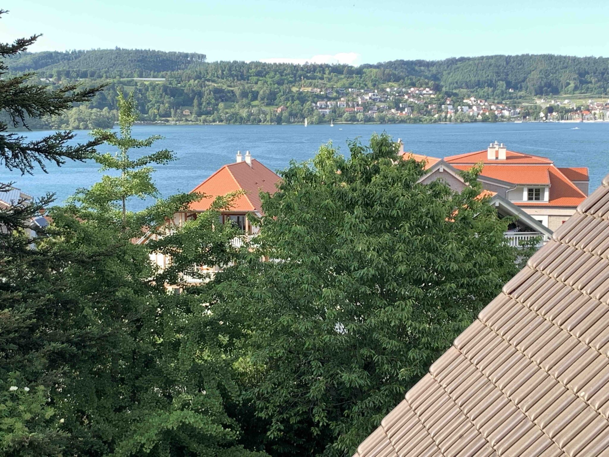 villa-bodman-schlosshalde (4)