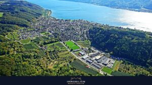 Bodman-Ludwigshafen aus der Vogelperspektive