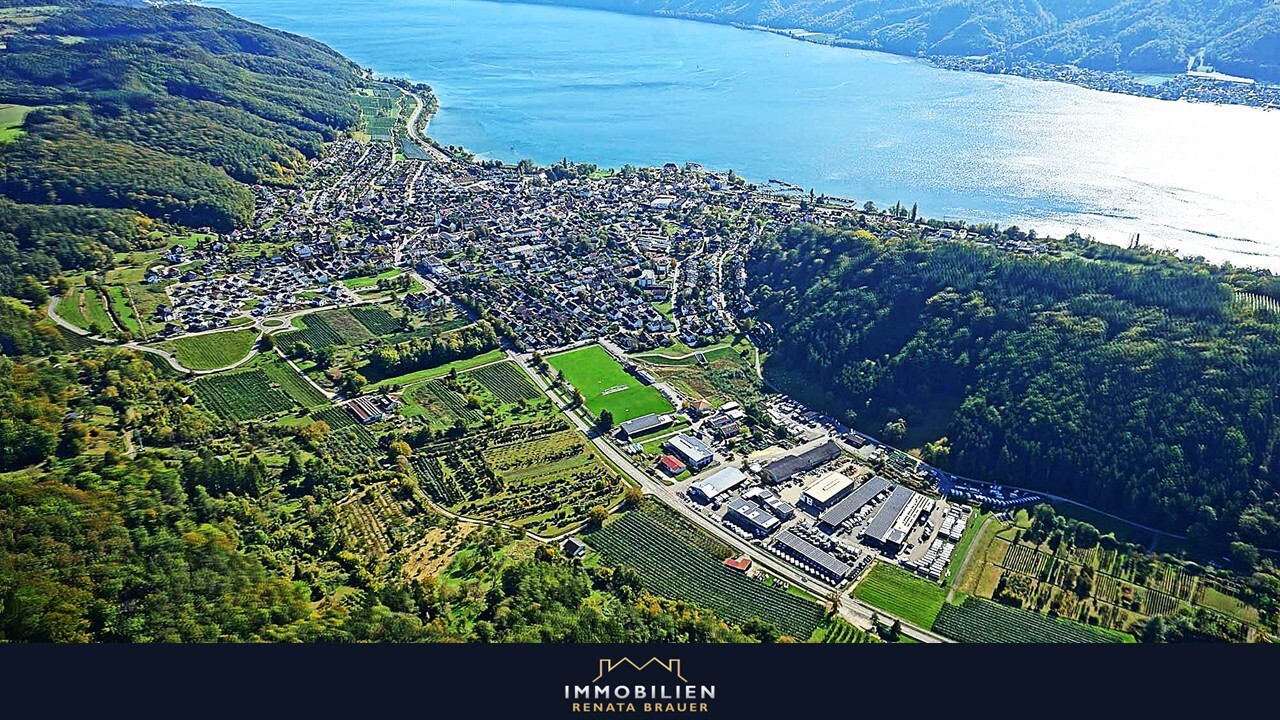 Bodman-Ludwigshafen aus der Vogelperspektive